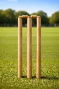 Wooden cricket stumps on field_compressed_62.webp