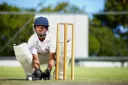 Best Quality Worden Wickets